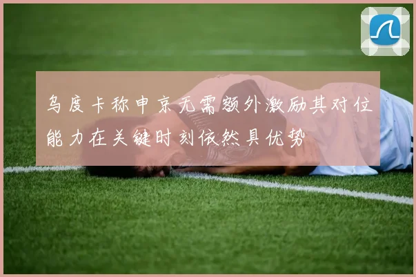 乌度卡称申京无需额外激励其对位能力在关键时刻依然具优势